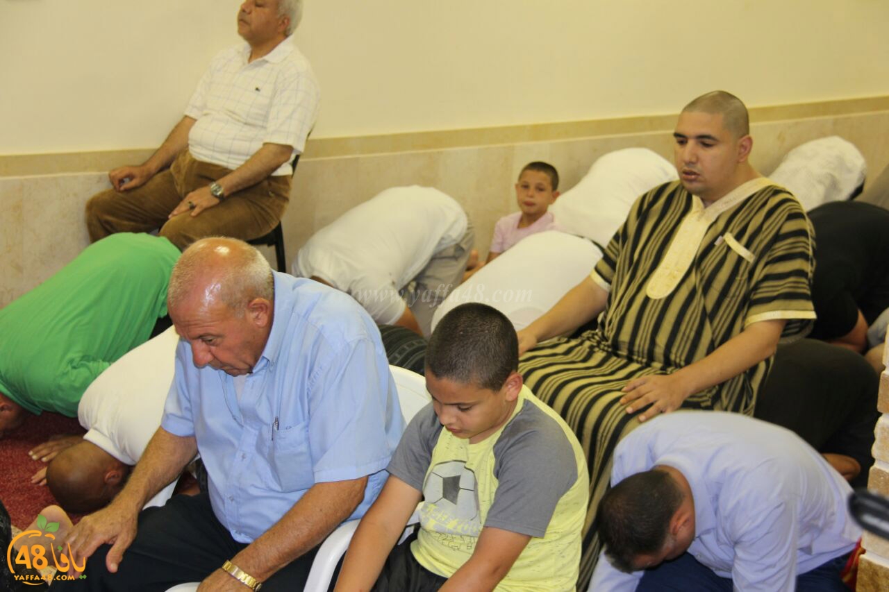 trawe7 mohamed fateh (6).jpg